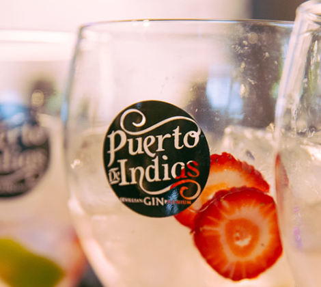 Experimenteren met Puerto de Indias gin