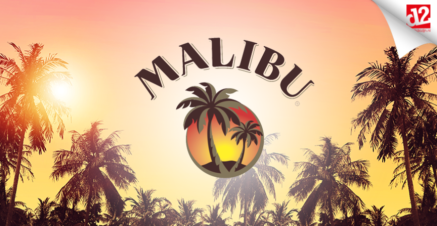 Malibu mixen, een garantie op succes