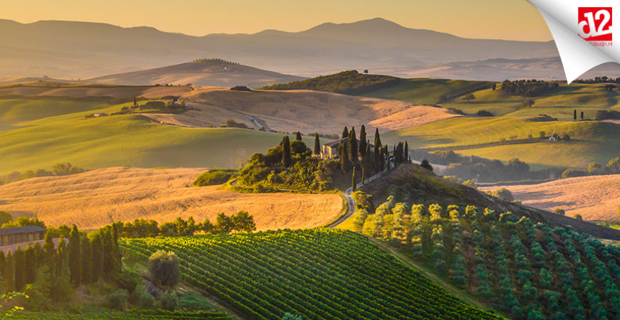 Italiaanse wijnen: écht genieten