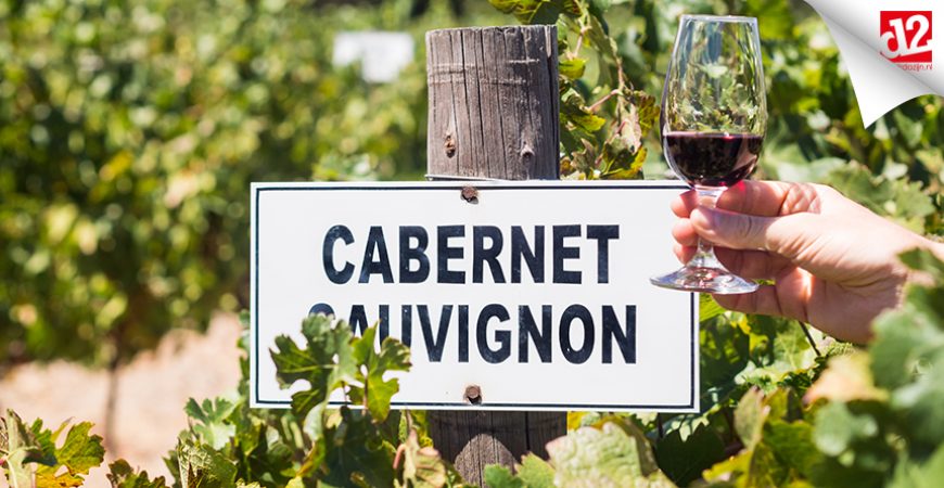 Cabernet Sauvignon: ontdek de druif en de wijn