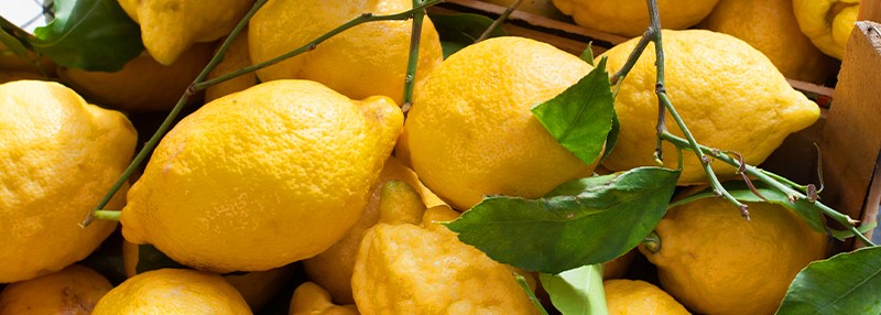 limoncello-citroenen