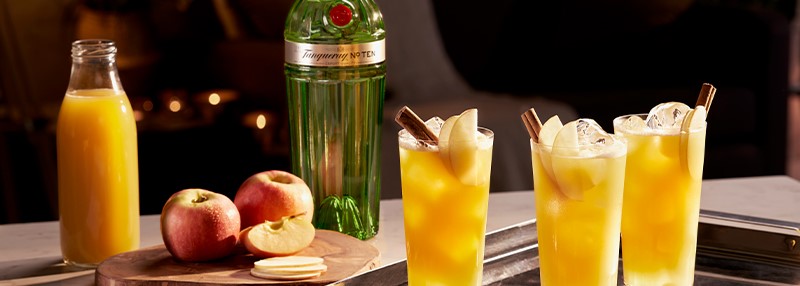 Tanqueray Apple Punch
